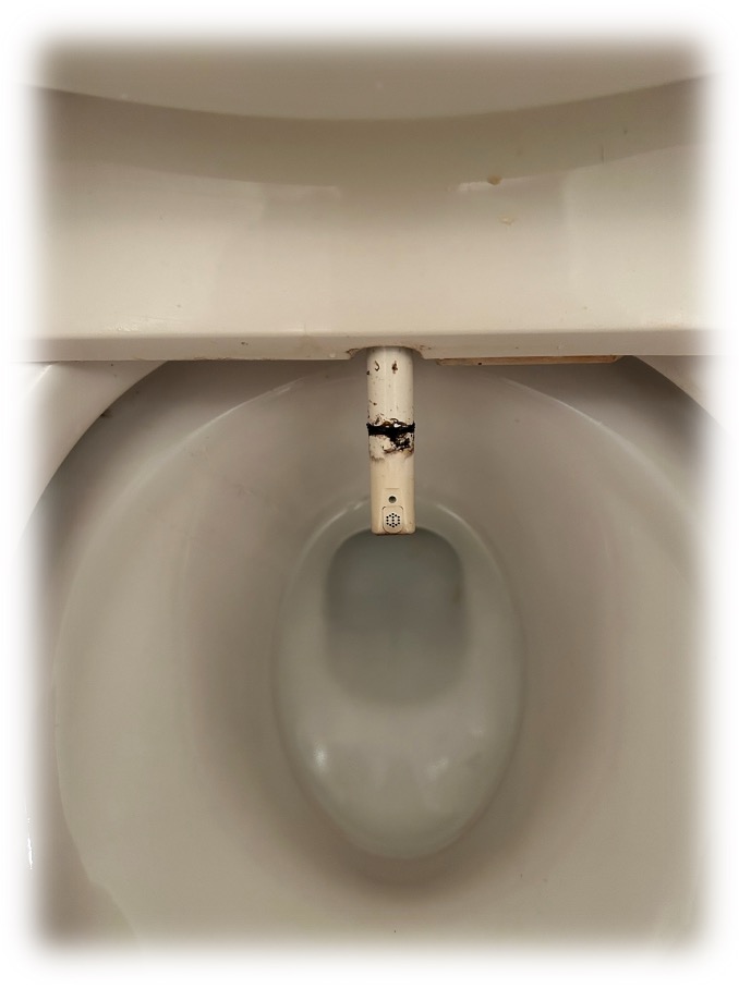 ウォシュレットノズル清掃前
